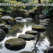 Japanse tuin met stenen, water en Planten Poster