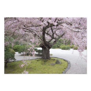 Japanse Tuin Portland, Portland, Oregon, Foto Afdruk