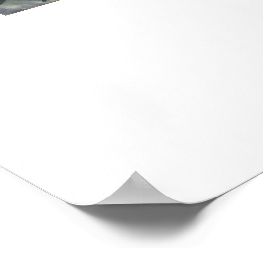 Japanse tuin poster (Hoek)