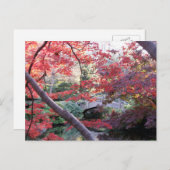 Japanse tuinbrug achter rode herfstappels briefkaart (Voorkant / Achterkant)