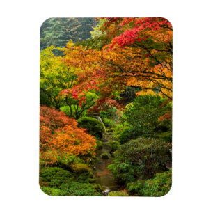 Japanse tuinen in de herfst in Portland, Oregon 2 Magneet