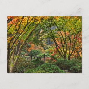 Japanse Tuinen In De Herfst In Portland, Oregon 4 Briefkaart