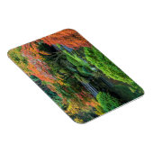 Japanse tuinen in het najaar van Portland, Oregon  Magneet (Rechterzijde)