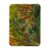 Japanse tuinen in het najaar van Portland, Oregon Magneet (Verticaal)