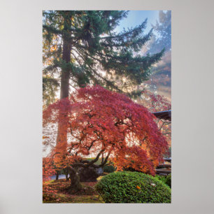 Japanse tuinen in het najaar van Portland, Oregon Poster
