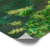 Japanse tuinen in het najaar van Portland, Oregon  Poster (Hoek)