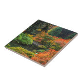 Japanse tuinen in het najaar van Portland, Oregon  Tegeltje (Zijkant)