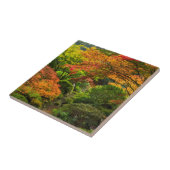 Japanse tuinen in het najaar van Portland, Oregon  Tegeltje (Zijkant)