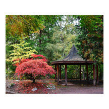Japanse Tuinpaviljoen en Herfstbladeren