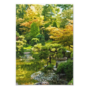 Japanse Tuinschildering Effect Landschap Foto Afdruk