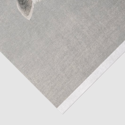  japanse uil vogelmaan tissuepapier (Detail)