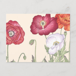 Japanse Ukiyo Art Poppy Flowers Briefkaart