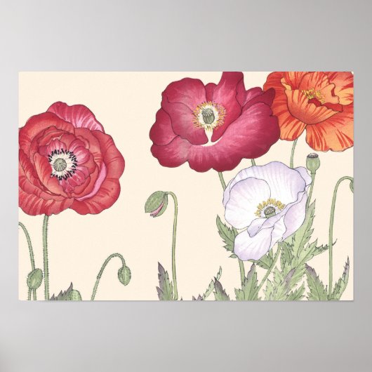  Japanse Ukiyo Art Poppy Flowers Poster (Voorkant)