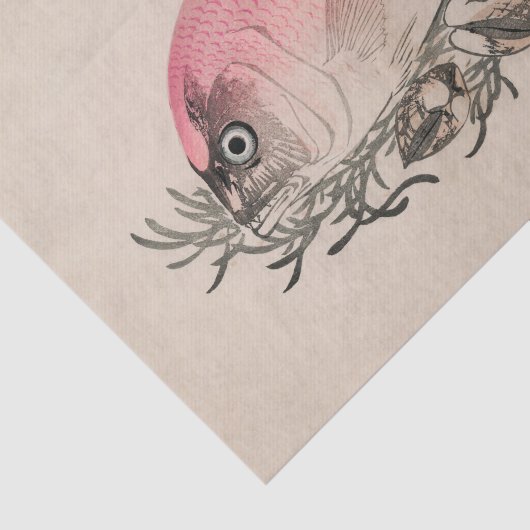 JAPANSE VIS IN PINK Tissue Paper Tissuepapier (Detail)