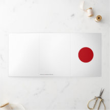 Japanse vlag