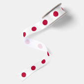 Japanse vlag satijnen lint (Achterkant)