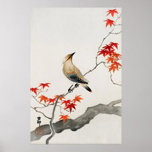 Japanse Vogel Wandkunst Print Rode Esdoorn Botani (Voorkant)