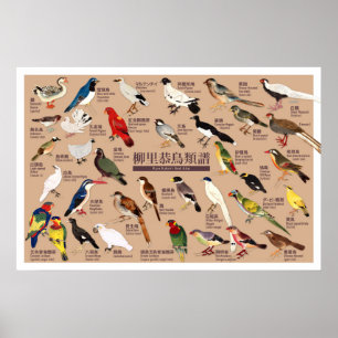 Japanse Vogelatlas Poster