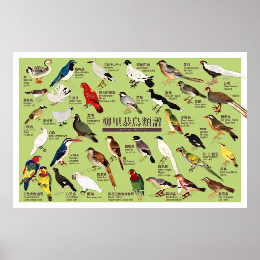Japanse Vogelatlas Poster (Voorkant)