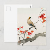 Japanse vogelpest op Maple door Ohara Koson Briefkaart (Voorkant / Achterkant)