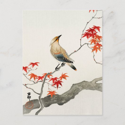 Japanse vogelpest op Maple door Ohara Koson Briefkaart (Voorkant)