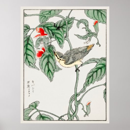 Japanse vogels 2 poster (Voorkant)