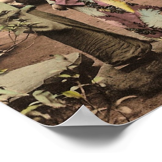  Japanse vrouwen Poster (Hoek)