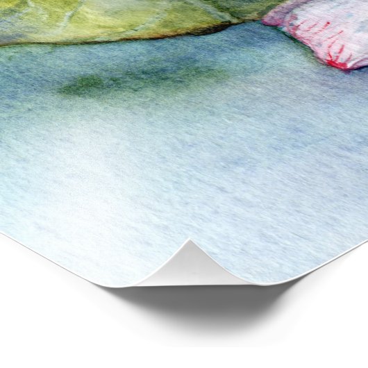 Japanse waterlelies en lotusbloemen foto afdruk (Hoek)