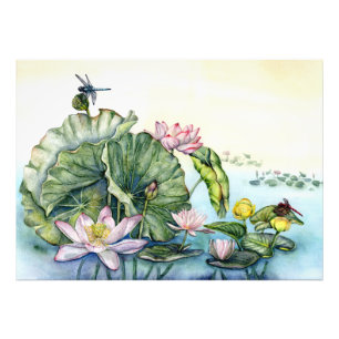 Japanse waterlelies en lotusbloemen foto afdruk