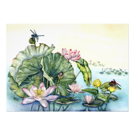 Japanse waterlelies en lotusbloemen foto afdruk (Voorkant)