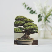 Japanse witte pine Bonsai-boom Briefkaart (Staand voorkant)