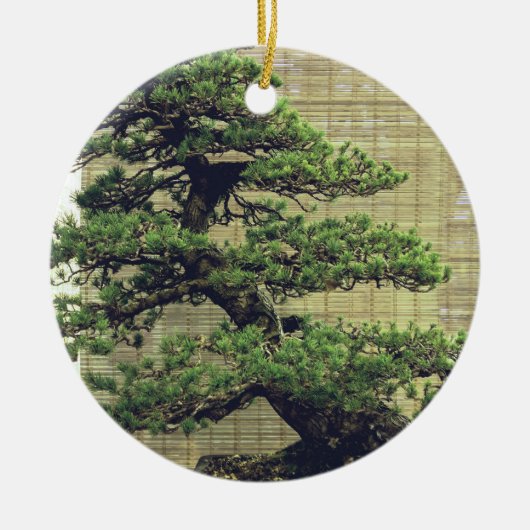 Japanse Witte Pine Bonsai Boom Foto Keramisch Ornament (Voorkant)