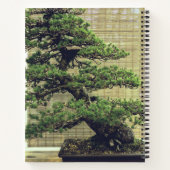 Japanse Witte Pine Bonsai Boom Foto Notitieboek (Achterkant)