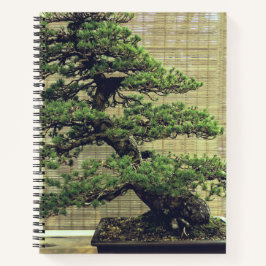 Japanse Witte Pine Bonsai Boom Foto Notitieboek