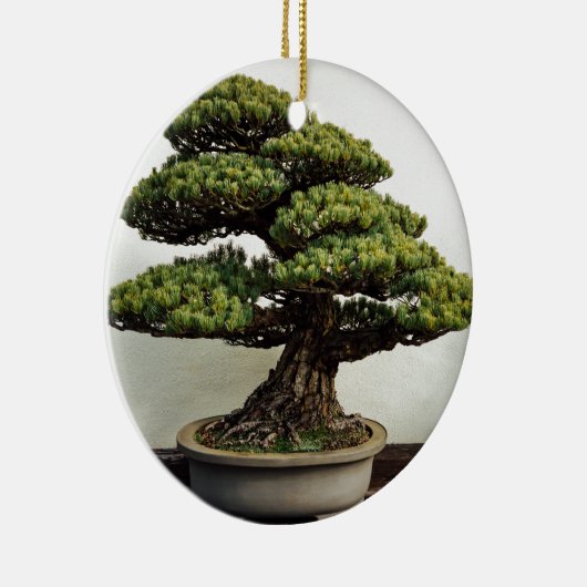 Japanse witte pine Bonsai-boom Keramisch Ornament (Rechts)