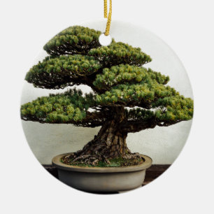 Japanse witte pine Bonsai-boom Keramisch Ornament