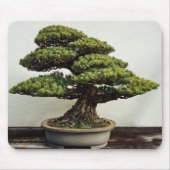Japanse witte pine Bonsai-boom Muismat (Voorkant)
