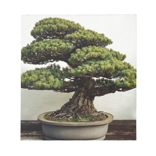 Japanse witte pine Bonsai-boom Notitieblok (Voorkant)