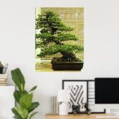 Japanse witte pine Bonsai-boom Poster (Thuiskantoor)