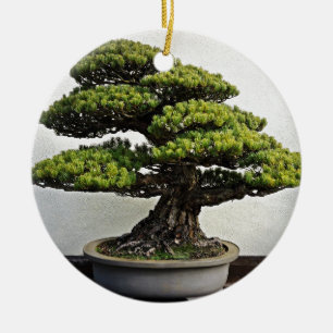 Japanse witte pine Bonsai Keramisch Ornament