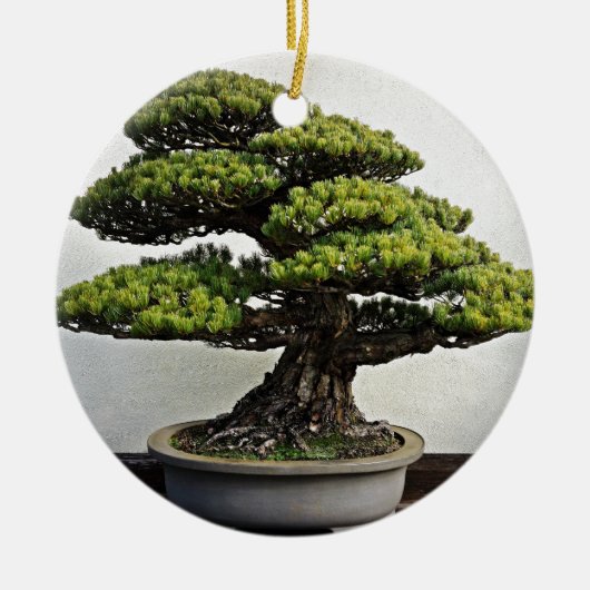Japanse witte pine Bonsai Keramisch Ornament (Voorkant)