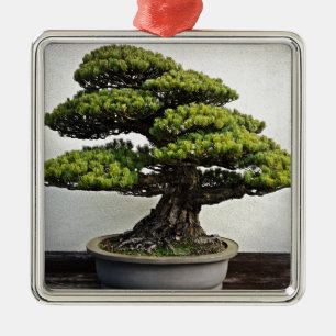 Japanse witte pine Bonsai Metalen Ornament