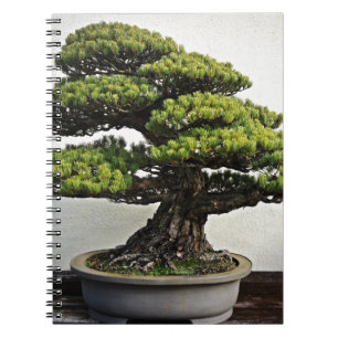 Japanse witte pine Bonsai Notitieboek