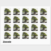 Japanse witte pine Bonsai Vierkante Sticker (Vel)