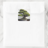 Japanse witte pine Bonsai Vierkante Sticker (Tas)