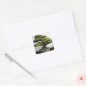Japanse witte pine Bonsai Vierkante Sticker (Envelop)