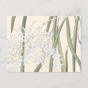 Japanse Witte Spider Orchid Art Briefkaart