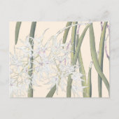  Japanse Witte Spider Orchid Art Briefkaart (Voorkant)