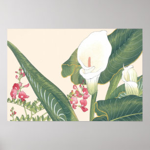 Japanse Woodblock White Calla Lily Poster