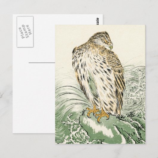Japanse Zee Eagle - Osprey Briefkaart (Voorkant / Achterkant)